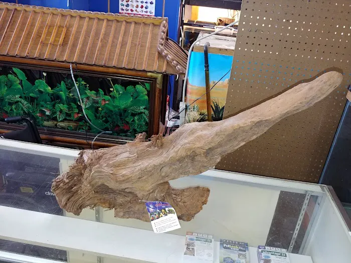 Dirty Paws Pet Shop & Grooming Picture 9