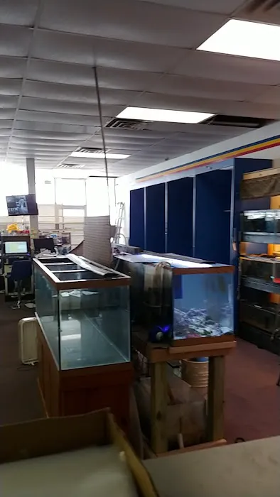 Dirty Paws Pet Shop & Grooming Picture 1