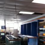 Dirty Paws Pet Shop & Grooming