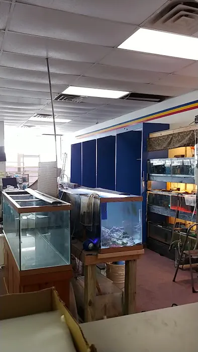 Dirty Paws Pet Shop & Grooming Picture 3