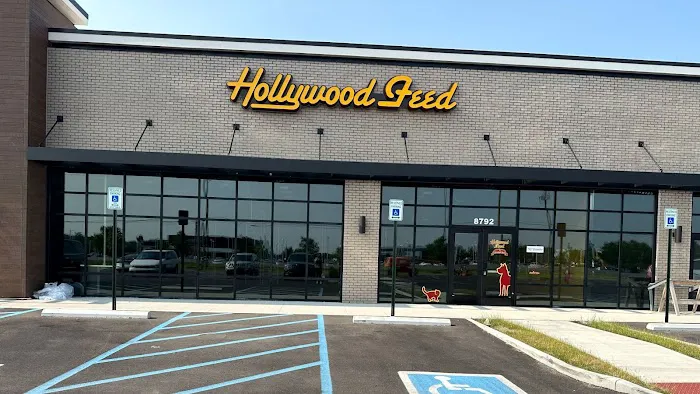 Hollywood Feed Picture 2