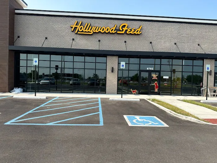 Hollywood Feed Picture 6