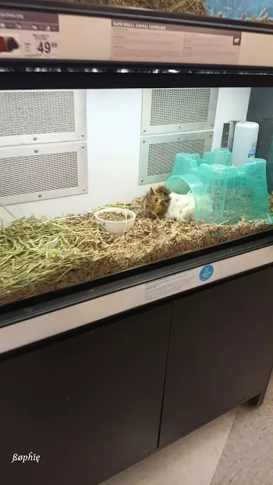 Petco Picture 3