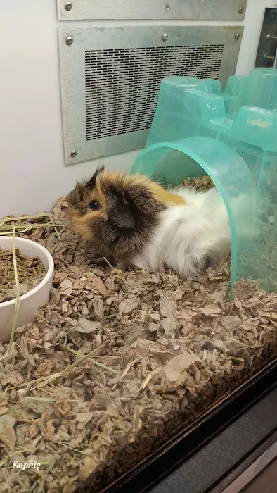 Petco Picture 8