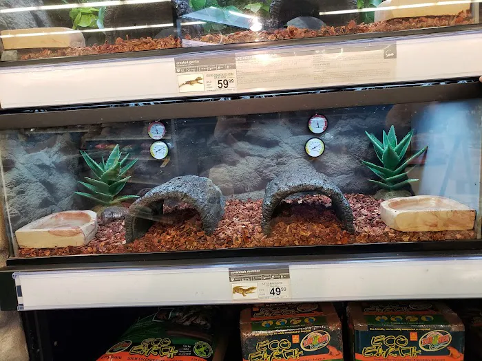 Petco Picture 6