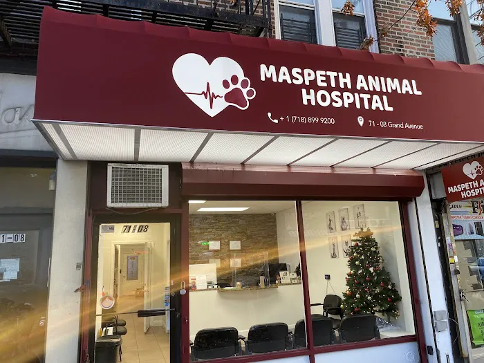 Maspeth Animal Hospital Picture 4
