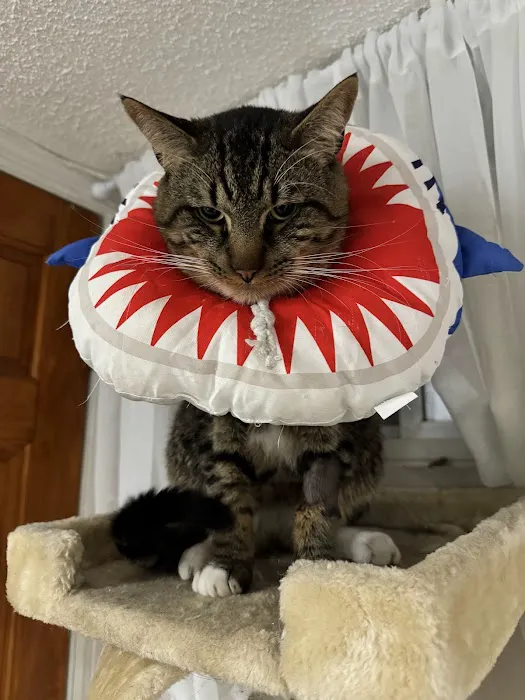 Maspeth Animal Hospital Picture 6