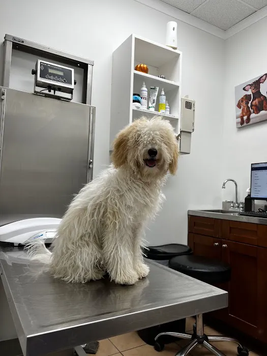 Maspeth Animal Hospital Picture 2