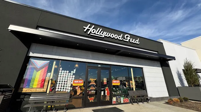 Hollywood Feed Picture 5