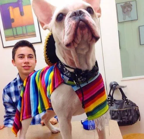 The Sunnyside Pet Healthcare & Dental Center Picture 5