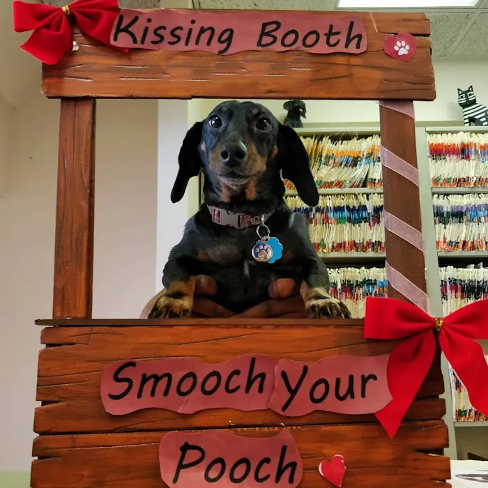 The Sunnyside Pet Healthcare & Dental Center Picture 6