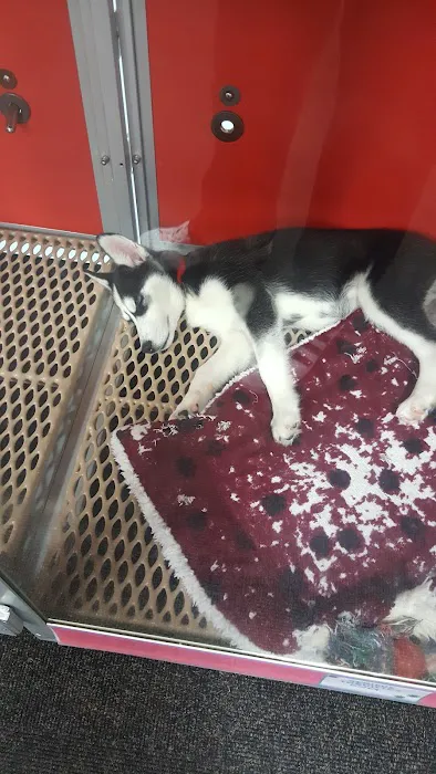 Uncle Bill's Pet Centers North Picture 9