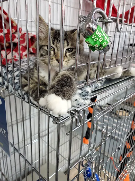 Uncle Bill's Pet Centers North Picture 10