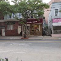 Queens Animal Hospital ico