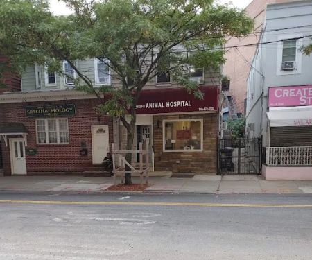 Queens Animal Hospital