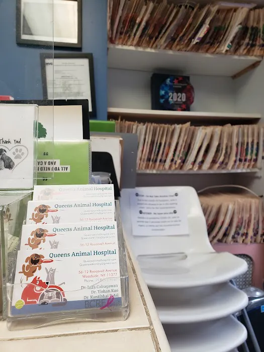 Queens Animal Hospital Picture 2