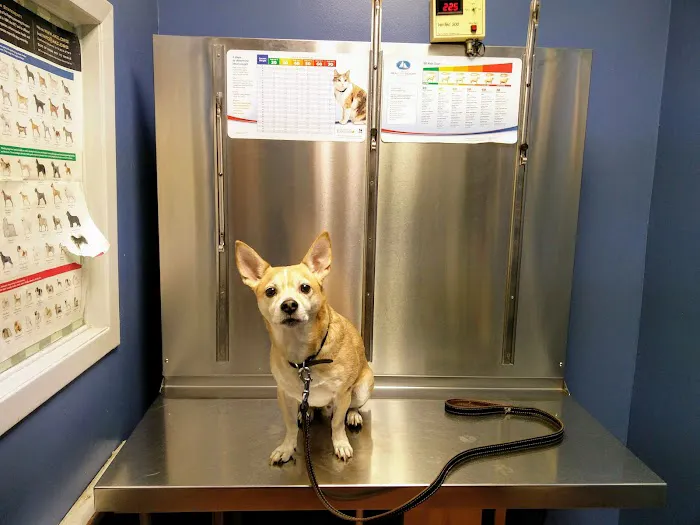 Queens Animal Hospital Picture 7