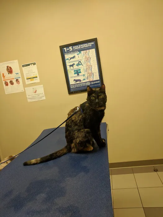 Chenango Animal Hospital Picture 1