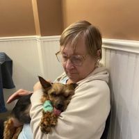 Allen Veterinary Hospital ico