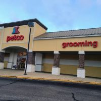 Petco ico