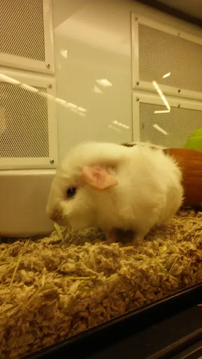 Petco Picture 6