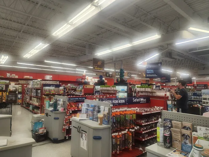 Petco Picture 7