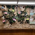ADS Aquarium & Aviary Design Services