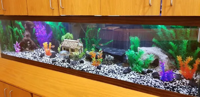 ADS Aquarium & Aviary Design Services Picture 2