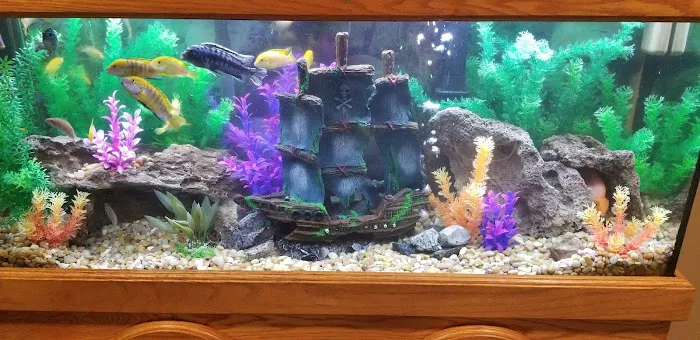 ADS Aquarium & Aviary Design Services Picture 10