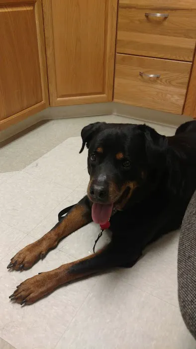 Speak Animal Hospital Picture 6