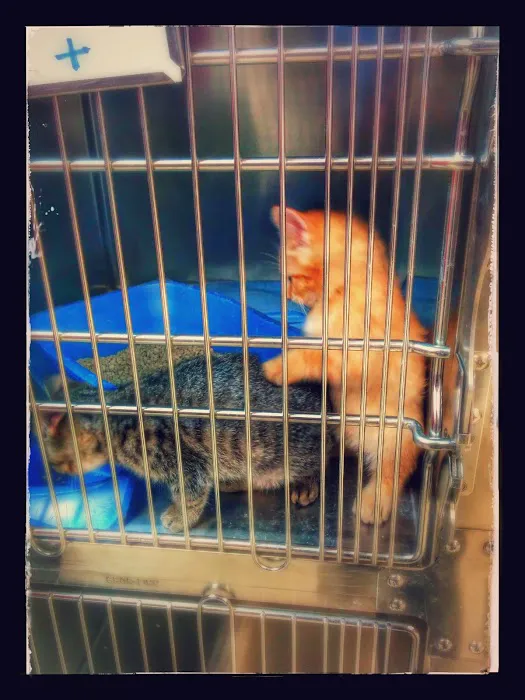 Speak Animal Hospital Picture 9