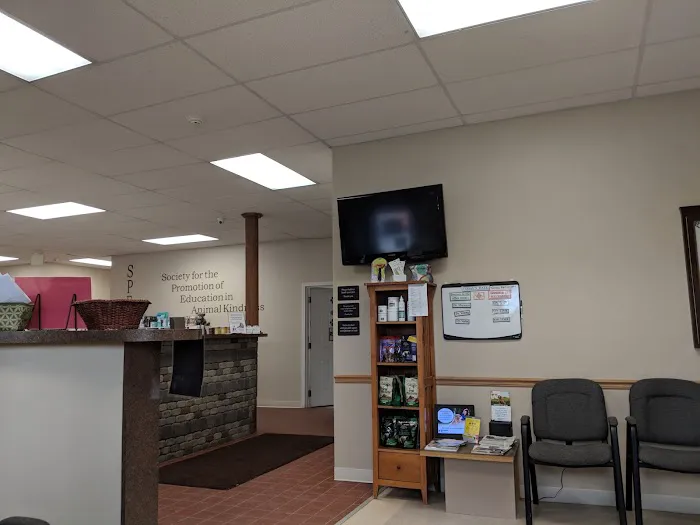 Speak Animal Hospital Picture 2