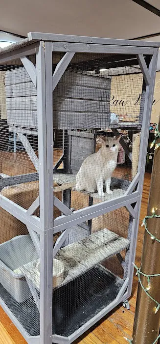 Youngblood's Natural Animal Care Center and Massage Picture 1