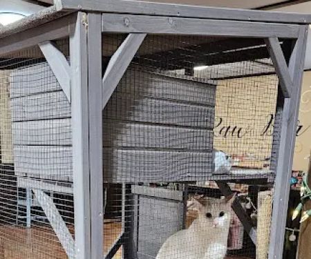 Youngblood's Natural Animal Care Center and Massage