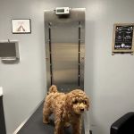 Breeze Enterprises