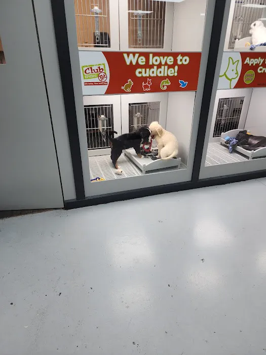 Petland Memphis Picture 4
