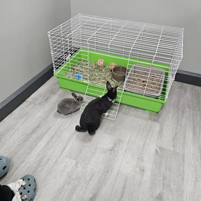 Petland Memphis Picture 6