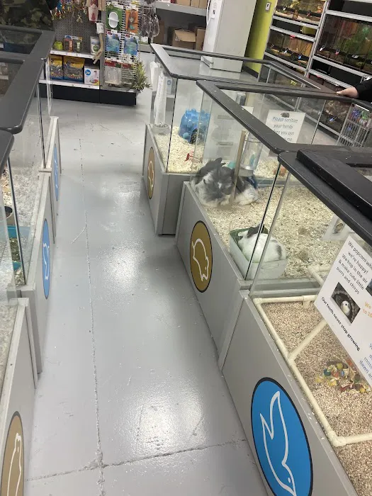 Petland Memphis Picture 8
