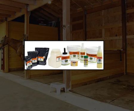 Equine Science, Inc.
