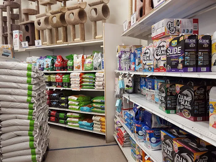 Petco Picture 5