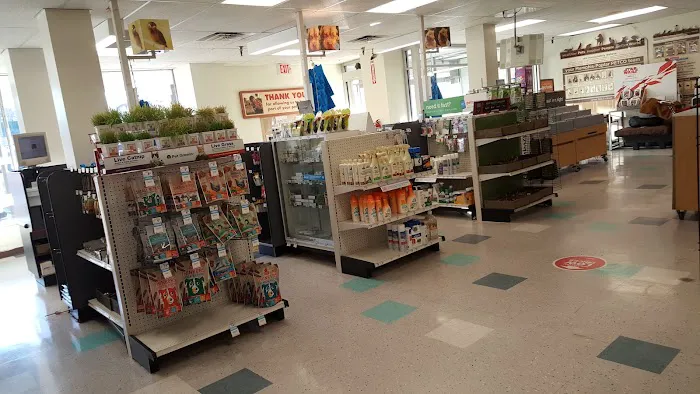 Petco Picture 2