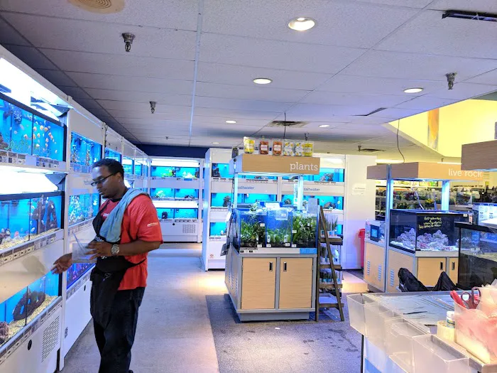 Petco Picture 7