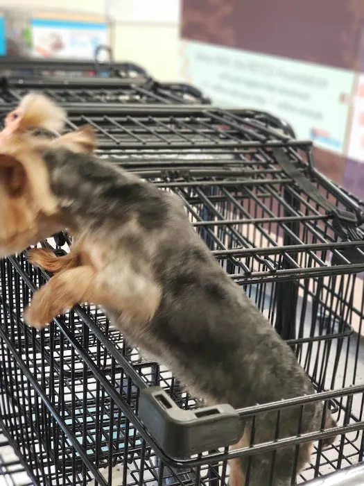 Petco Picture 6