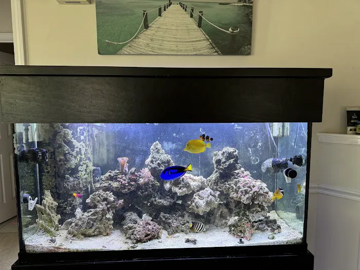 Aquariums Memphis Picture 2