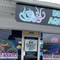 Desoto Aquatics ico