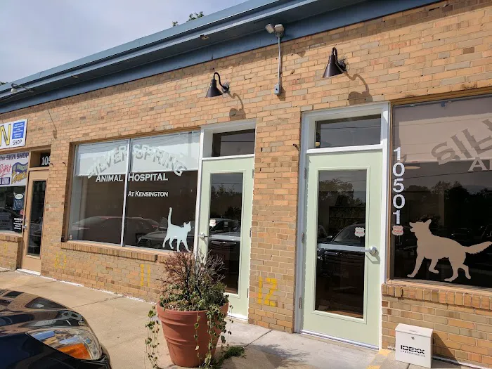 Silver Spring Animal Hospital Picture 1