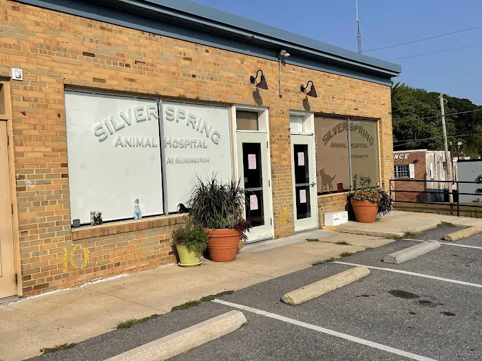 Silver Spring Animal Hospital Picture 4