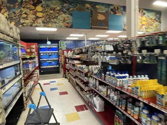 Petco Picture 3