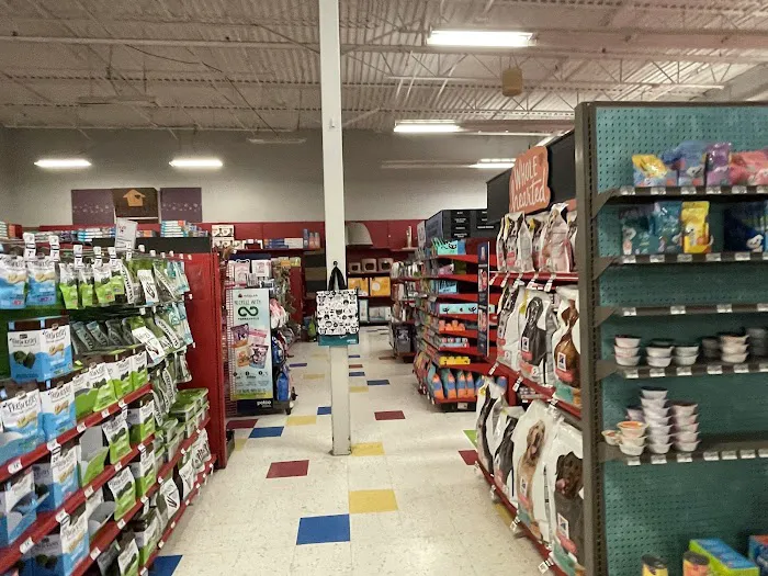 Petco Picture 4