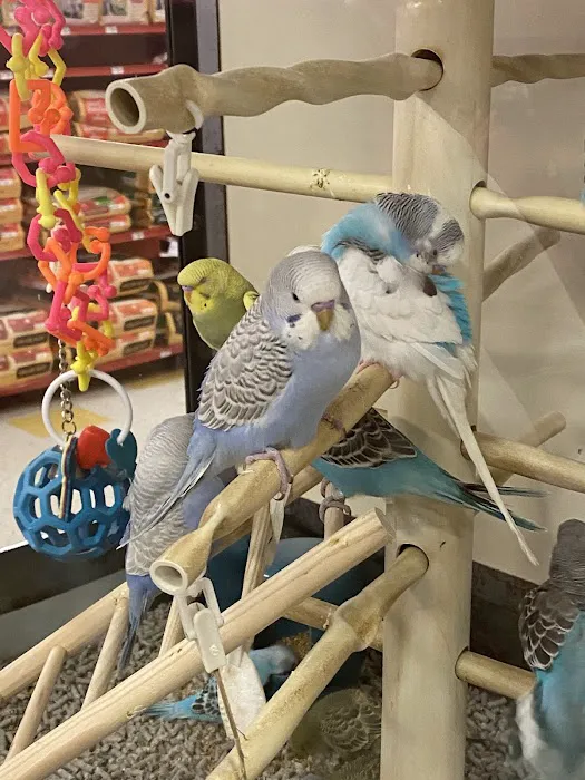 Petco Picture 2